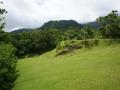 Tropical golf scenery