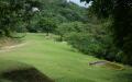 Tropical golf course