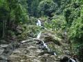 Fonds d'écran nature - végétation tropicale d'île Mindoro