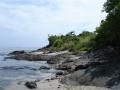 Océan Pacifique - Fonds d'écran nature - végétation tropicale d'île