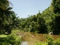 Crystal clear tropical river with lush forest vegetation