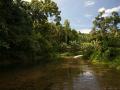 Beautiful jungle river scenery