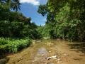 Beautiful jungle river scenery