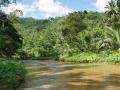 Beautiful tropical river nature scenery