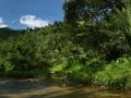 Beautiful tropical river nature scenery