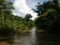 Tropical jungle river