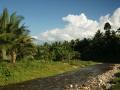 Tropical jungle river