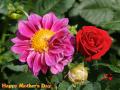 Beautiful flowers for happy mothers