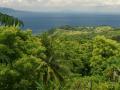 Island ocean view