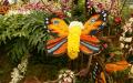 thumbs/butterfly_flowers-dsc02183-a3_ws.jpg