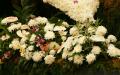 White Chrysanthemums and white/ink Flamingo flowers - Anthurium