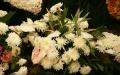 Pink Flamingo flowers with white blossoming Chrysanthemums