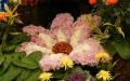 Large pink flower decor made of Chrysanthemums