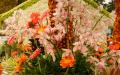 Orange and Gerbera, pink Chrysanthemums, pink Orchids