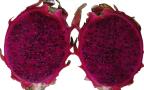 purple dragon fruit cut