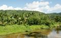 Crystal clear jungle river in beautiful island nature