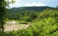 Jungle river scenery