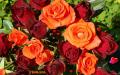 I love you red and orange roses with hearts - Valentine wallpaper