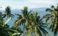 Palm trees - Ocean view Puerto Galera - Mindoro island, Philippines