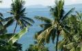 Palm trees - Ocean view Puerto Galera - Mindoro island, Philippines