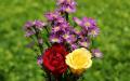 Colorful rose bouquet