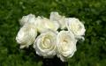 Large white rose bouquet