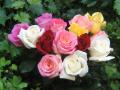 fotos ramos de rosas hermosas