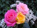 fotos ramos de rosas hermosas